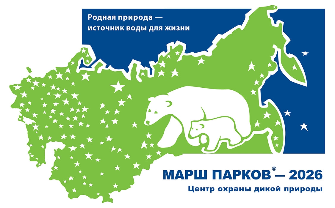 маршпарков