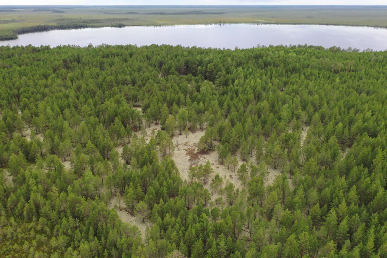 Государственный природный заказник «Верхне-Кондинский» является особо охраняемой природной территорией федерального значения. 