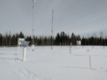 площадка метеорологической станции, Коновалова А.